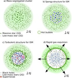 This sequence of images shows the evolution of a globular cluster, where massive stars (green asterisks, a) play a crucial role. The entire cluster is about 30 light years in diameter. During their life time, the massive stars first produce hot bubbles and gas disks around themselves (b). The stars (blue and green dots) observed today form in these gas disks, where the ejecta of massive stars mix with the interstellar medium (b, see also Figure 3). Eventually, the massive stars explode in a supernova, so that the gas in the cluster temporarily becomes turbulent (c), but it cannot escape due to the large gravity of the cluster. At the end, black holes and neutron stars are left over. In their gravitational pull, they collect part of the remaining gas in the cluster and due to the associated energy release the leftover gas is removed (green) from the globular cluster (d). This then also allows many of the lighter stars to escape.