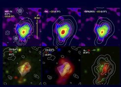<p>In the top row, the molecular gas is shown as the backdrop image in color and the contours display the stellar light (from left to right: H band map, stellar mass, extinction corrected star formation rate). In the bottom row (center image), the backdrop shows the extinction and the white contours show the CO integrated flux map -- demonstrating how well the absorption seen in the rest-frame optical coincide with the CO emission. The high-resolution HST H-band maps show clumps of star formation, typical for galaxies at the peak of the cosmic star formation rate (see results from the high-redshift galaxy survey SINS) </p>