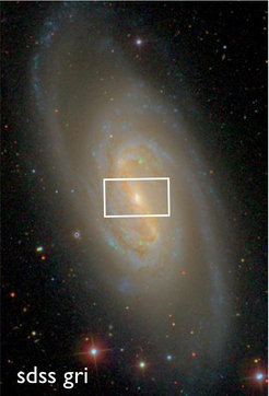 <p><span class="small"><span style="text-decoration: underline;">Abb. 1:</span> "First Light" für VIRUS-W: Die Abbildung (aus dem Sloan Digital Sky Survey) zeigt die Galaxie NGC2903 und das Sichtfeld des Spektrographen.</span></p>