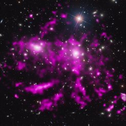 <p>Ein Team von Astronomen entdeckte riesige Röntgen-Kondensstreifen im Coma-Galaxienhaufen, die sich mindestens über eine halbe Million Lichtjahre erstrecken. Die Daten stammen von den Röntgenobservatorien Chandra der NASA und XMM-Newton der ESA. Ein neu zusammengesetztes Bild, bei dem die Chandra Daten in violett und optische Daten aus dem Sloan Digital Sky Survey dargestellt sind, zeigt diese spektakulären Arme. Dafür wurden die Chandra-Daten bearbeitet, um zusätzliche Details sichtbar zu machen.</p>