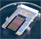 eROSITA CCD
