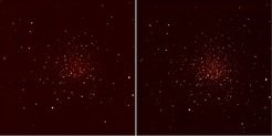 <p>Diese beiden Bilder zeigen das nicht-korrigierte (links) und ARGOS-korrigierte (rechts) Bild des Kugelsternhaufens NGC 2419 (~3.6'x3.6') mit dem LUCI2-Instrument.</p>