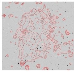 <p>Optical image of the same cluster as in Fig. 1 (greyscale) by the Digitized Sky Survey (DSS), with the X-ray contours overlaid.</p>