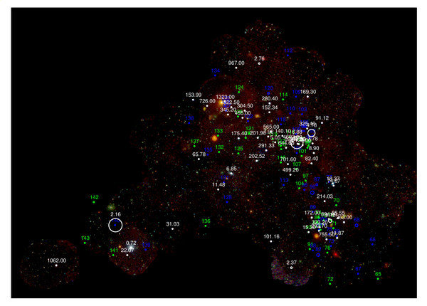 The numerous HMXBs known in the SMC marked on the EPIC mosaic image from above. The pulsars are labeled with their pulse periods in seconds. High-confidence HMXBs without known spin period are marked in green and other candidates in blue. The size of the circles scales with the positional uncertainty.
