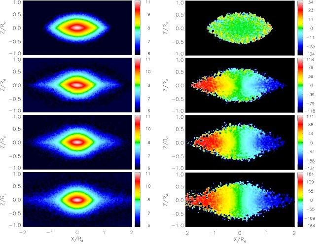 <div style="text-align: justify;">Edge-on surface density and velocity maps for the bulge particles alone at four different epochs during the secular evolution. Initially the bulge is non-rotating and flattened by the disc potential later on the classical bulge aquires the characteristic cylindrical rotation.</div>