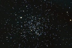 Der offene Sternhaufen M67 in einer Entfernung von ca. 2500 Lichtjahren.