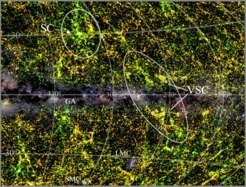 <p>The Vela supercluster in its wider surroundings: The image displays the smoothed redshift distribution of galaxies in and around the Vela supercluster (larger ellipse; VSC). The centre of the image, so-called the Zone of Avoidance, is covered by the Milky Way (with its stellar fields and dust layers shown in grey scale), which obscures all structures behind it. Colour indicates the distance ranges of all galaxies within 500 - 1000 million light years (yellow is close to the peak of the Vela supercluster, green is nearer and orange further away). The ellipse marks the approximate extent of the Vela Supercluster, crossing the Galactic Plane. The VSC structure was revealed thanks to the new low latitude spectroscopic redshifts. Given its prominence on either side of the plane of the Milky Way it would be highly unlikely for these cosmic large-scale structures not to be connected across the Galactic Plane. The structure may be similar in aggregate mass to the Shapley Concentration (SC, smaller ellipse), although much more extended. The so-called “Great Attractor” (GA), located much closer to the Milky Way, is an example of a large web structure that crosses the Galactic Plane, although much smaller in extent than VSC. The central, dust-shrouded part of the VSC remains unmapped in the current Vela survey. Also visible are the Milky Way’s two satellite galaxies, LMC and SMC, located south of the Galactic plane.</p>