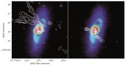 <p>Here, observations of the CO molecular lines are shown on top of the dust emission. The emission by the molecules is slightly shifted to longer or shorter wavelengths depending on the velocity of the material relative to the observer. Therefore the panel on the left shows material moving towards us (blue lobe), while the panel right shows motion away from us (red lobe). The launch sites are at the edge of the disk and both outflows are asymmetric.</p>