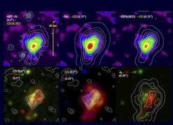 In the top row, the molecular gas is shown as the backdrop image in color and the contours display the stellar light (from left to right: H-band map, stellar mass, and extinction-corrected star formation rate). In the bottom row (center image), the backdrop shows the extinction, and the white contours show the CO-integrated flux map – demonstrating how well the absorption seen in the rest-frame optical light coincides with the CO emission. The high-resolution HST H-band maps show clumps of star formation, typical for galaxies at the peak of the cosmic star formation rate (see results from the high-redshift galaxy survey SINS).