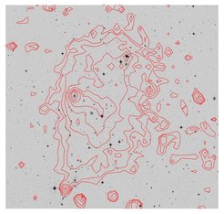 Optical image of the same cluster as in Fig. 1 (greyscale) by the Digitized Sky Survey (DSS), with the X-ray contours overlaid.