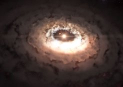 Artist's impression of an infant star surrounded by the gas and dust cloud in which planet formation is currently taking place. This is based on some recent ALMA work by van Dishoeck.