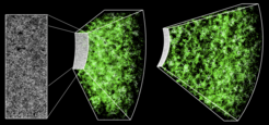 This is a section of the three-dimensional map constructed by BOSS. The rectangle on the left shows a cut-out of 1000 sq. degrees in the sky containing nearly 120,000 galaxies, or roughly 10% of the total survey. The spectroscopic measurements of each galaxy - every dot in that cut-out - transform the two-dimensional picture into a three-dimensional map, extending our view out to 7 billion years in the past. The brighter regions in this map correspond to the regions of the Universe with more galaxies and therefore more dark matter. The extra matter in those regions creates an excess gravitational pull, which makes the map a test of Einstein’s theory of gravity.