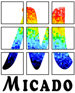 MICADO Logo