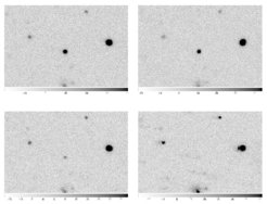 <span class="small">These images, taken with GROND in the R-band, show how the GRB is fading over the course of nine nights. The first image was taken just about 30 hours after the alert from the Fermi satellite. </span>