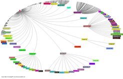 <p>Diese Visualisierung zeigt, wie viele wissenschaftliche Publikationen sich auf die erste Arbeit zum Plasmakristall im Jahr 1994 (siehe Text) beziehen. Inzwischen gibt es über 1000 Zitierungen aus einem wachsenden und breit gefächerten Forschungsgebiet.</p>