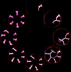 "Ignition" of a cold plasma.
