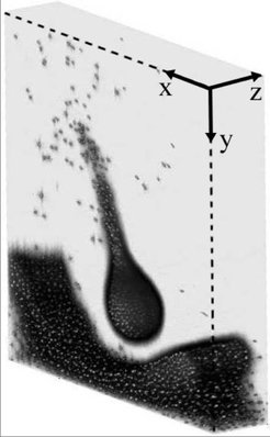 Just as in a genuine liquid, the micrometre-sized particles in a complex plasma can form drops.