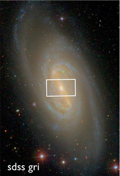 Abb. 1: "First Light" für VIRUS-W: Die Abbildung (aus dem Sloan Digital Sky Survey) zeigt die Galaxie NGC2903 und das Sichtfeld des Spektrographen.