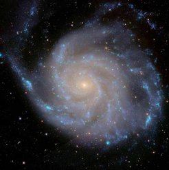 Messier 101 (NGC 5457) ist eine Galaxie mit einem kleinem Bulge und einem massereichen Halo aber einem kleinen schwarzen Loch. Beobachtungen zeigen, dass diese riesige Galaxie kein schwarzes Loch beherbergen kann, selbst wenn es so klein ist wie das unserer Milchstraße.