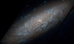 NGC 6503, another example of a bulge-less galaxy with a massive halo and a small black hole.