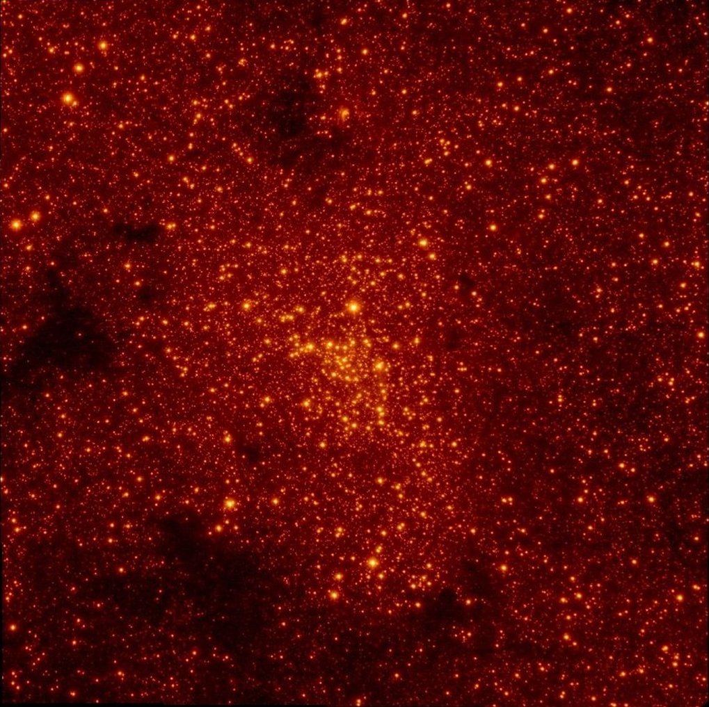 The Milky Way's Nuclear Star Cluster