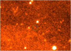 SWIFT UVOT image of the area around XMMU J004215.8+411924 obtained with the UW1 Filter. The circles mark the X-ray positions derived from the EPIC images (2 arcsec radius) and with the SWIFT XRT (6 arcsec radius).