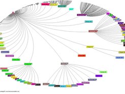 Diese Visualisierung zeigt, wie viele wissenschaftliche Publikationen sich auf die erste Arbeit zum Plasmakristall im Jahr 1994 (siehe Text) beziehen. Inzwischen gibt es über 1000 Zitierungen aus einem wachsenden und breit gefächerten Forschungsgebiet.