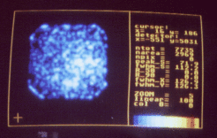 ROSAT image obtained during the second Weilheim contact (26 March 1996, 15:24 - 15:34 UTC) indicating an enhancement on the right-hand half of the detector - the first ever image of cometary X-rays!