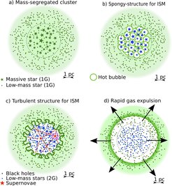 Abbildung 2: Diese Bildreihe zeigt die Entwicklung eines Kugelsternhaufens, in dem massereiche Sterne (grüne Sternchen, a) eine entscheidende Rolle spielen. Der gesamte Haufen hat etwa 30 Lichtjahre im Durchmesser. Im Laufe ihres Lebens erzeugen die massereichen Sterne zuerst heiße Blasen und Gasscheiben um sich herum. Die derzeit beobachteten Sterne (blaue und grüne Punkte) entstehen in diesen Gasscheiben, in denen sich die Auswürfe der massereichen Sterne mit dem interstellaren Medium vermischen (b, siehe auch Abb. 3). Die massereichen Sterne explodieren schließlich in einer Supernova, wodurch das Gas im Haufen vorübergehend turbulent wird (c), aber aufgrund der großen Schwerkraft des Haufens nicht entweichen kann. Übrig bleiben schließlich schwarze Löcher und Neutronensterne. Diese sammeln durch ihre Schwerkraft einen Teil des im Haufen noch vorhandenen Gases auf. Durch die damit verbundene Energiefreisetzung wird nun das übrig gebliebene Gas (grün) aus dem Kugelsternhaufen entfernt (d), wodurch schließlich auch sehr viele leichtere Sterne verloren gehen.