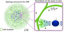 Schematische Darstellung, wie sich die Sterne der zweiten Generation in einer Scheibe bilden. Massereiche Sterne reichern das sie umgebende interstellare Gas mit schwereren Elementen an, die in ihrem Innern durch Wasserstoffbrennen erzeugt wurden. In den Akkretionscheiben um die schweren Sterne entsteht eine neue Sterngeneration ähnlich wie Planeten in Staubscheiben um Sterne entstehen.
