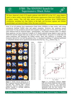 The SINFONI BH Survey