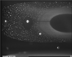 Dieses Bild wurde während des letzten Experiments mit PK-3 Plus auf der Internationalen Raumstation ISS aufgenommen. Zu sehen sind einige „große“ Teilchen mit ca. 1 mm Durchmesser, die versehentlich in die Experimentkammer gelangten, aber zu interessanten Wechselwirkungen mit den kleineren Teilchen führten.