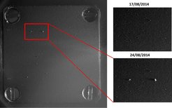 Mit dem COSIMA-Mikroskop sind mehrere Kometenstaubkörner zu erkennen, die in der inneren Koma von 67P/Churyumov-Gerasimenko in der Zeit vom 17. bis 24. August eingesammelt wurden, als Rosetta den Kern in einer Entfernung von etwa 100 km begleitete. Die größten Körner sind zwischen 50 und 70 Mikrometer groß. Die Beleuchtung der Platte erfolgt von rechts, die Länge der Schatten ist proportional zur Höhe der Staubkörnchen. Die Größe der Platte beträgt 1x1 cm^2 und die optische Auflösung ist 14 Mikrometer/Pixel.