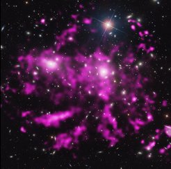 Filaments of stripped gas in the Coma cluster seen in X-rays (pink) (Sanders et al. 2013).