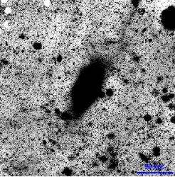 Maskiertes Bild von M87, das bearbeitet wurde um schwache Stukturen besser sichtbar zu machen. Im Bereich der Halos rechts oben (in einer Entfernung von 60-90 kpc entlang der Hauptachse) kann man eine Kronen-förmige Struktur erkennen.
