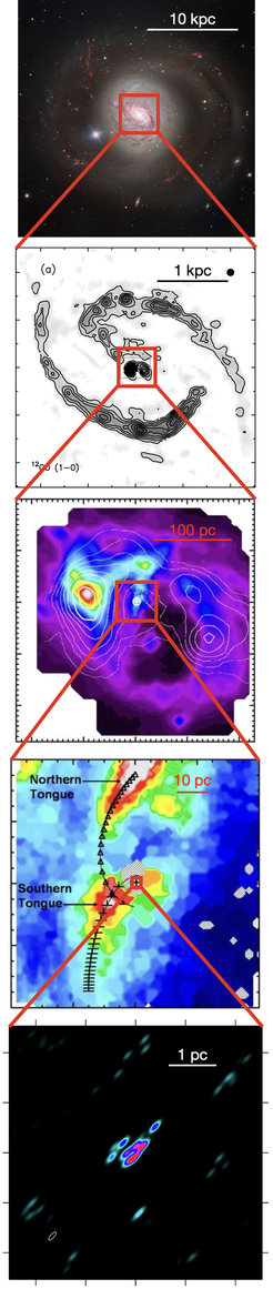 These images show NGC 1068 at multiple size scales. From top to bottom: optical image (ESO/VLT); cold molecular gas (CO 2-1; PdBI/NOEMA); warm molecular gas (SINFONI); hot dust (GRAVITY).