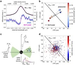 These images show our first BLR detection in 3C 273. GRAVITY observations of the broad Paα line emission exhibit the characteristic differential phase S-shaped signature (Panel a). The on-sky position of the Paα photo center as a function of wavelength reveals a velocity gradient perpendicular to the jet direction (Panel b), which is a clear signature of rotation. The data are well-described by kinematic models of Keplerian rotation in a thick disk configuration viewed at low inclination (Panel c). In particular, the best-fitting model image on sky matches the observed spectroastrometric pattern (Panel d, compared to panel b). This analysis allowed for robust measurements of the BLR radius and black hole mass.