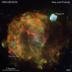 Tod eines Sterns: Der Vela-Supernova-Überrest ist aufgrund seiner Größe und der geringen Entfernung zur Erde eines der prominentesten Objekte am Röntgenhimmel. Die Supernova Vela explodierte vor etwa 12.000 Jahren in einer Entfernung von 800 Lichtjahren und überschneidet sich mit mindestens zwei weiteren Supernova-Überresten, Vela Junior (im Bild links unten als bläulicher Ring zu sehen) und Puppis-A (rechts oben). Vela Junior wurde erst vor 20 Jahren entdeckt, obwohl dieses Objekt so nahe an der Erde liegt, dass Überreste dieser Explosion in polaren Eiskernen gefunden wurden. Alle drei Supernova-Explosionen erzeugten sowohl die röntgenhellen Supernova-Überreste als auch Neutronensterne, die als intensive Röntgenpunktquellen in der Nähe der Zentren der Überreste leuchten.