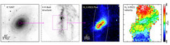 These images show direct evidence for external accretion in IC 5267: dust lanes and molecular gas in an oblique orbit (adapted from Davies et al. 2014).