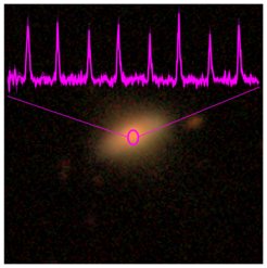 Optical image of the second galaxy found with quasi-periodic eruptions in the eROSITA all-sky data, the XMM-Newton X-ray light-curve is overlayed in magenta. The galaxy was identified as 2MASX J02344872-4419325 at a redshift of z~0.02. This source shows much narrower and more frequent eruptions, approximately every 2.4 hours.
