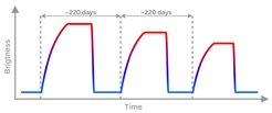 The light-curve of the new source, J0456-20, shows four distinctive phases: The X-ray flux plateau phase lasts about two months and then drops rapidly (by a factor of 100) within one week. A faint X-ray stage follows this for about 2-3 months before it starts the X-ray rising phase again. The whole cycle lasts about 220 days.