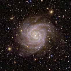Im Laufe seines Betriebs wird Euclid Milliarden von Galaxien abbilden und den unsichtbaren Einfluss der Dunklen Materie und der Dunklen Energie auf sie sichtbar machen. Daher ist es nur passend, dass eine der ersten Galaxien, die Euclid beobachtet hat, den Spitznamen „Verborgene Galaxie“ trägt und auch als IC 342 oder Caldwell 5 bekannt ist. Dank seines Infrarotblicks hat Euclid bereits wichtige Informationen über die Sterne in dieser Galaxie, die unserer Milchstraße sehr ähnlich ist, gewonnen.