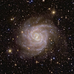 Bluish swirl with recognisable spiral arms and a bright, yellowish centre in front of a starry sky.