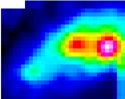 G45 image